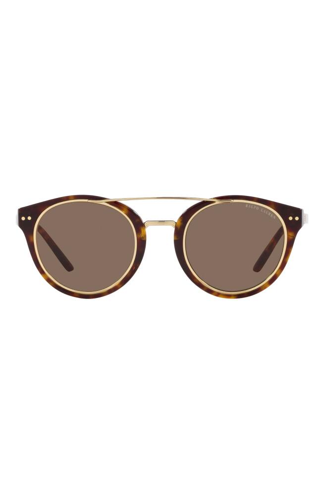 Ralph Lauren 49mm Round Sunglasses in Dark Havana/Brown Cover