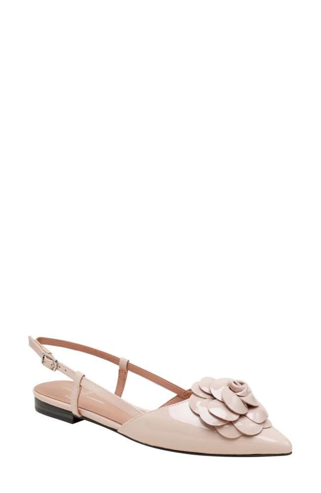 Linea Paolo Cammy Slingback Pointed Toe Flat in Beige Cover