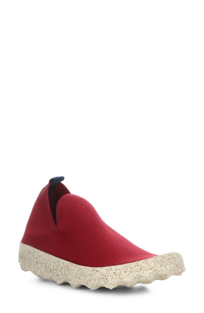 Asportuguesas by Fly London Care Sneaker in Red/White Cafe Cover