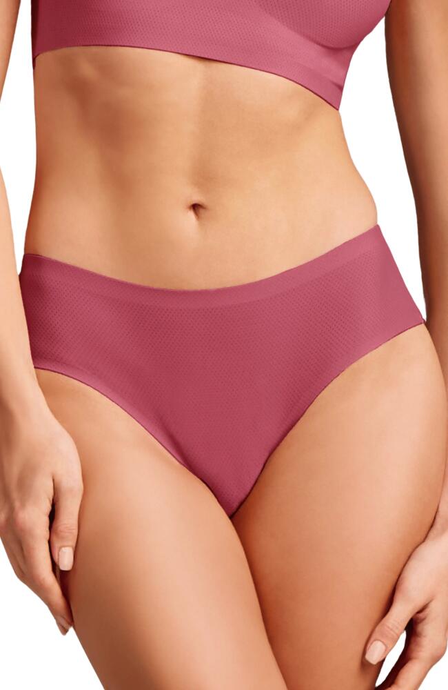 Siella Breathable Bikini Pantie in Enchanted Pink Cover