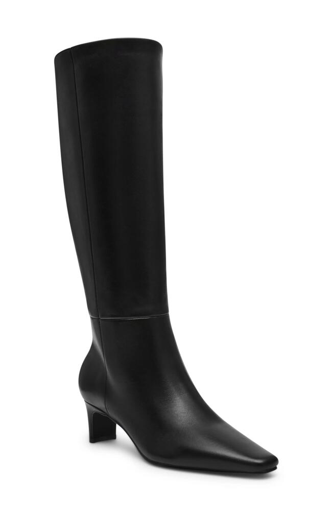 Steve Madden Dagne Knee High Boot in Black Leather Cover