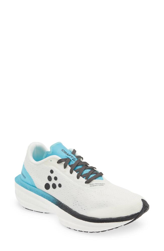 Craft Pro Endur Distance Running Shoe in White-Aquamarine Cover