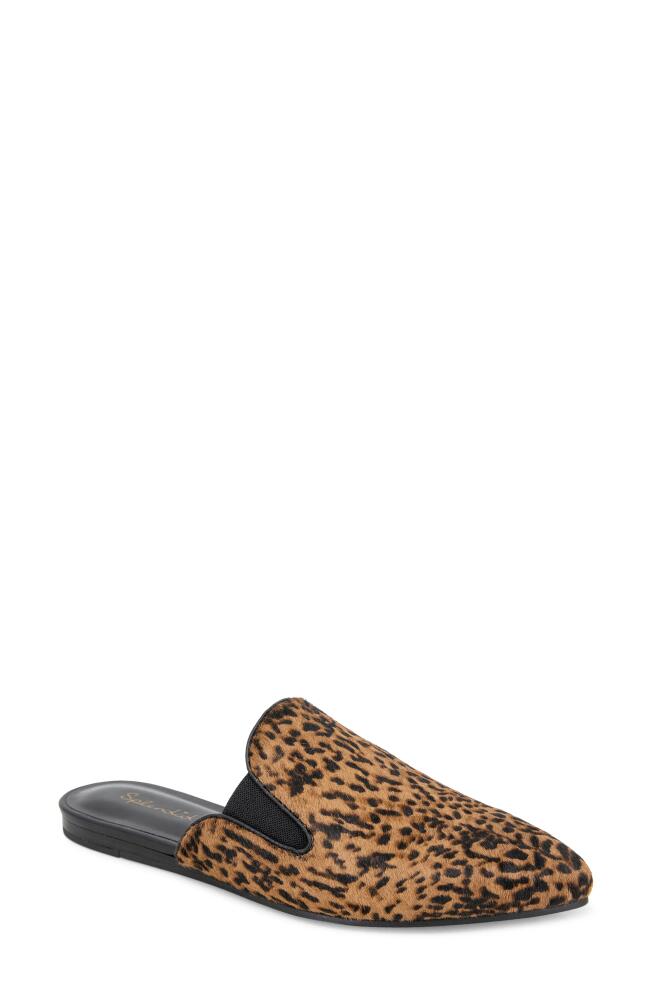 Splendid Liza Genuine Calf Hair Mule in Cheetah Cover