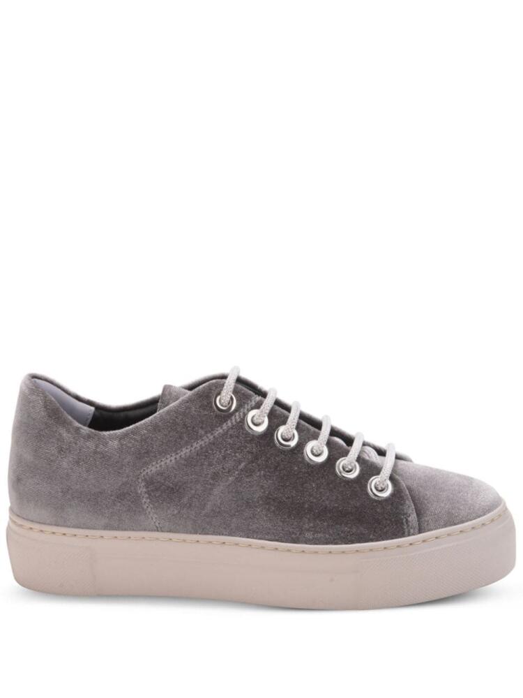 AGL Vananda velvet sneakers - Grey Cover