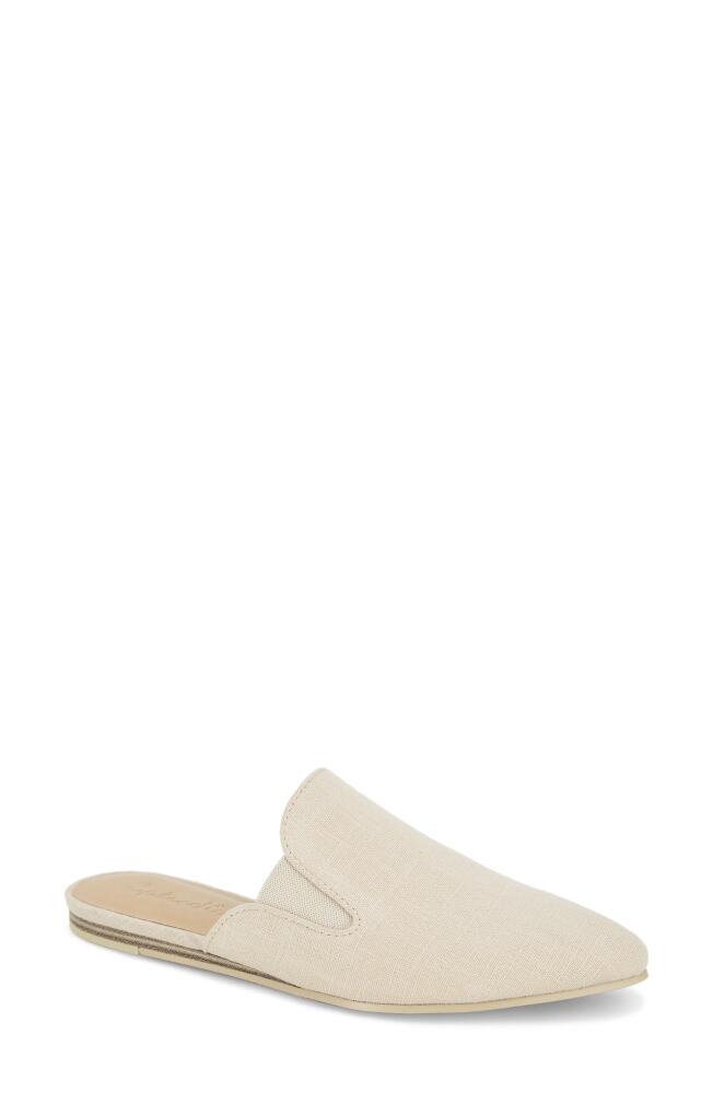 Splendid Liza Pointed Toe Mule in Linen Cover