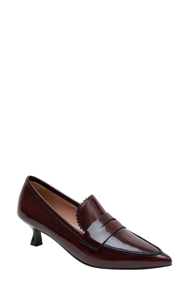 Linea Paolo Calisto Kitten Heel Loafer Pump in Black-Burgundy Cover