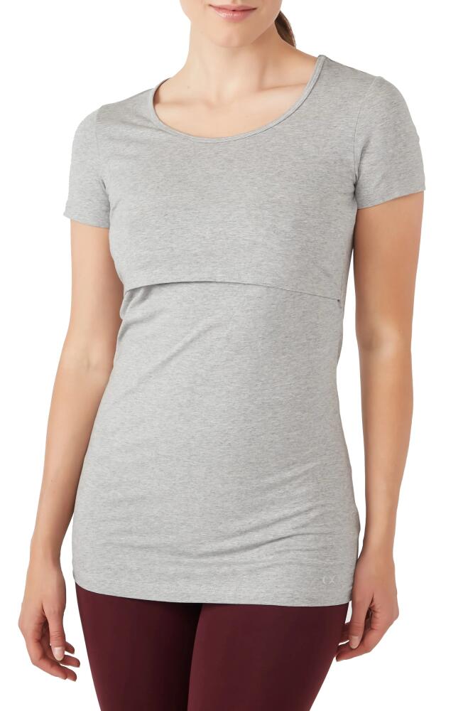 Modern Eternity Maternity/Nursing Tee in Steel Grey Melange Cover