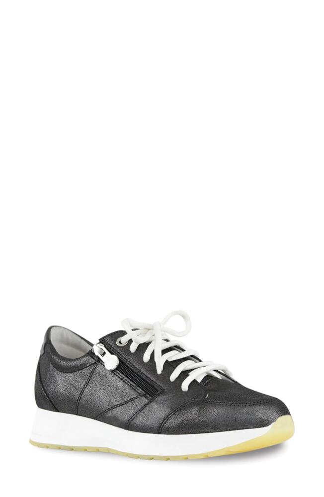 Munro Sutton Sneaker in Black Metallic Cover