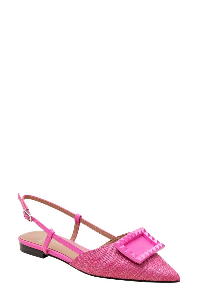 Linea Paolo Carmen Slingback Pointed Toe Flat in Fuchsia Cover