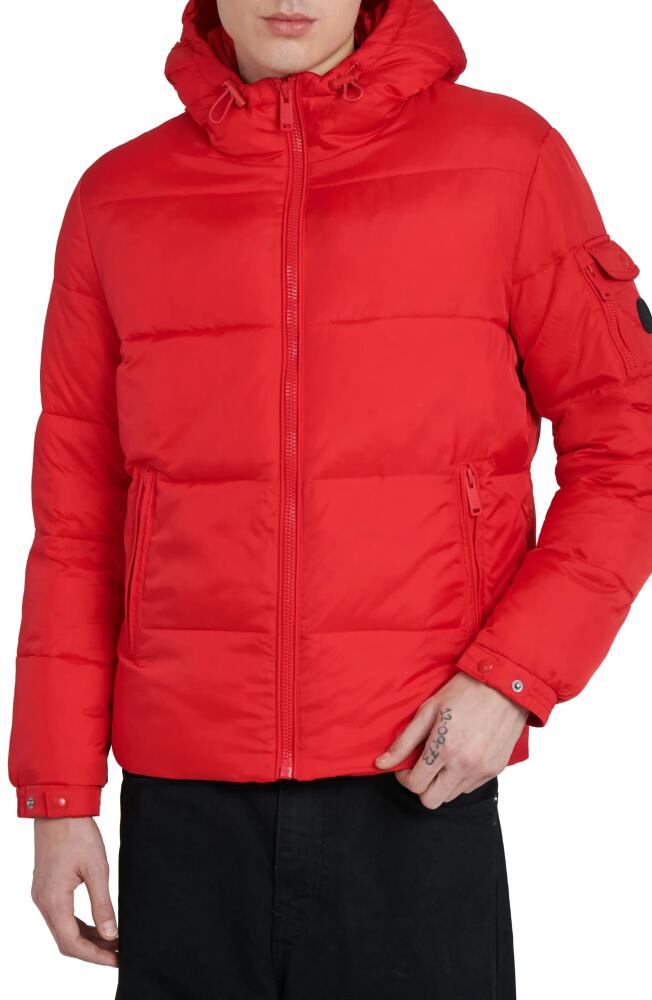 The Recycled Planet Company Erik Hooded Puffer Coat in Racing Red Cover