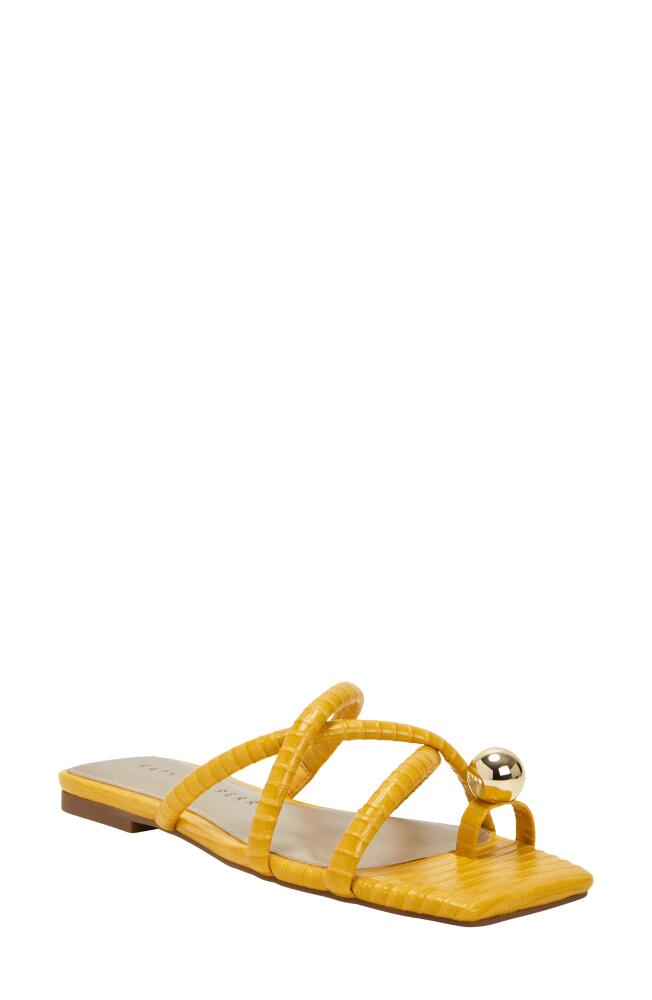 Katy Perry The Camie Slide Sandal in Pineapple Cover