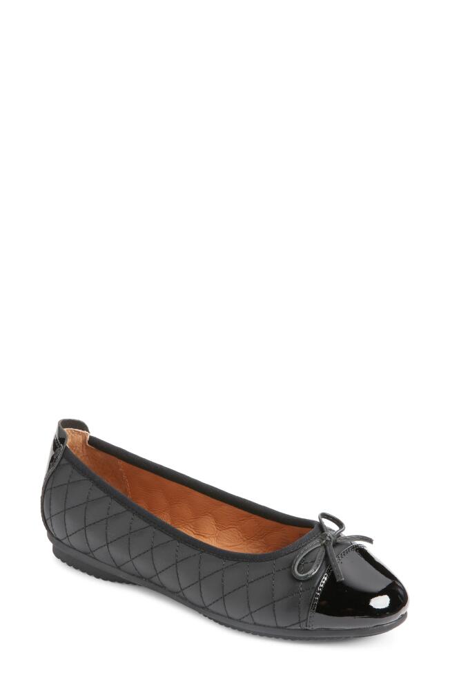 Josef Seibel Pippa Ballet Flat in Black Cover