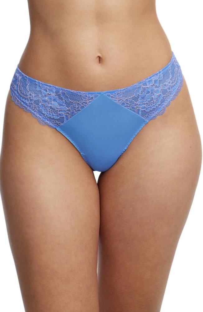 Skarlett Blue Minx Thong in Blue/Pink Cover