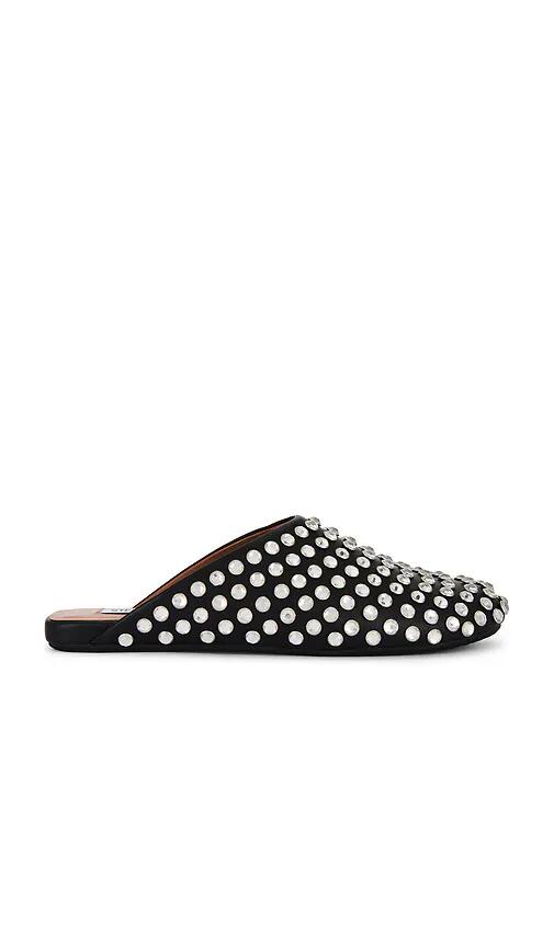 Steve Madden Glimmer Flat in Black Cover