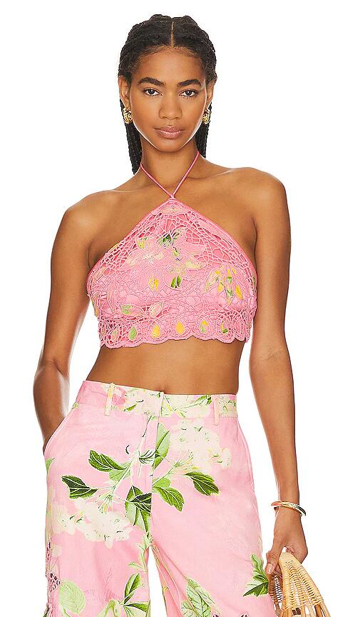 HEMANT AND NANDITA Crop Top in Pink Cover