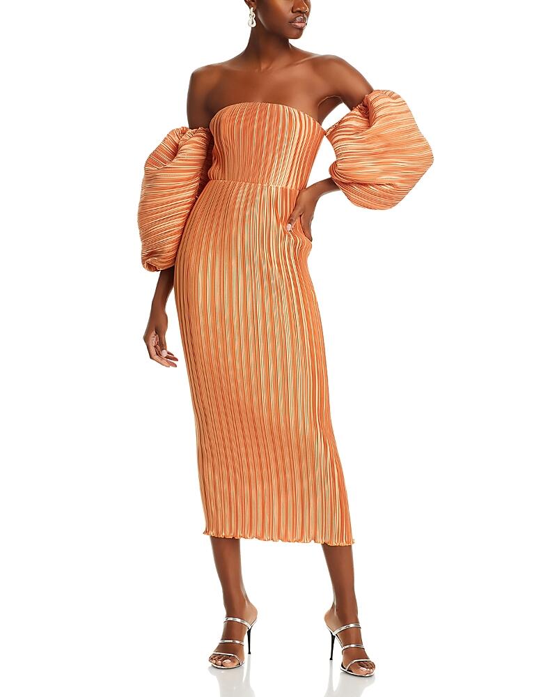 L'Idee Sirene Pleated Gown Cover