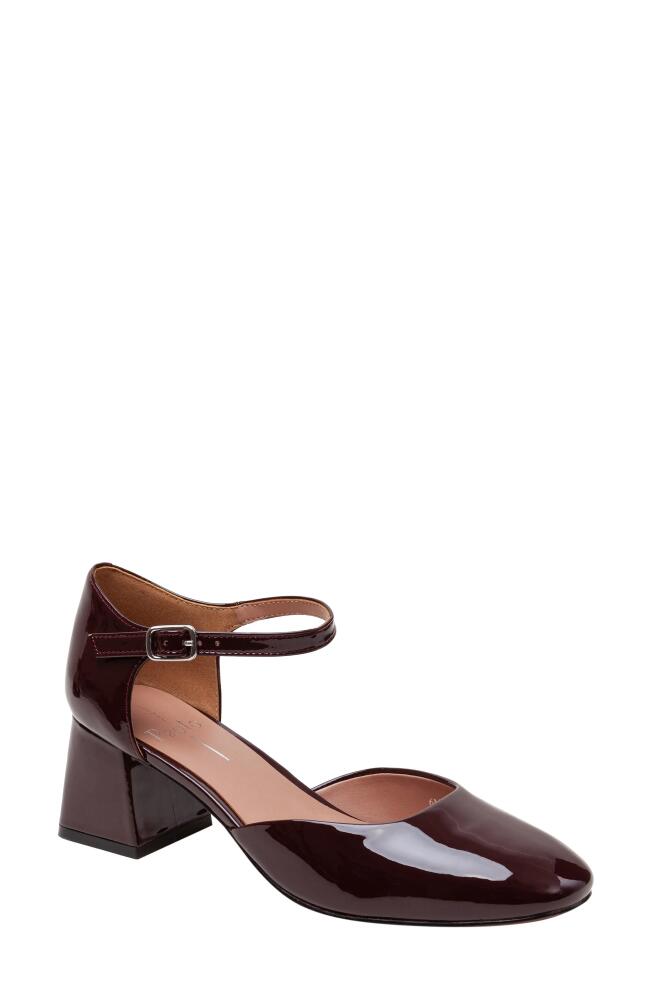 Linea Paolo Camelia Pump in Burgundy Cover