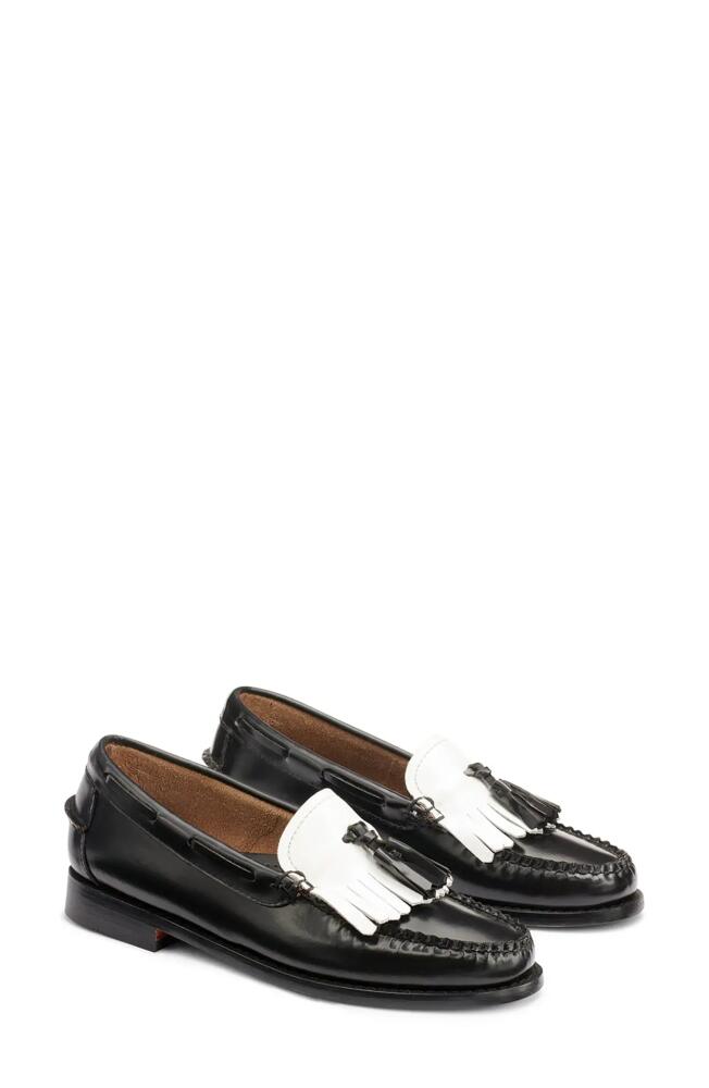 G. H.BASS Esther Kiltie Weejuns Loafer in Black/White Cover