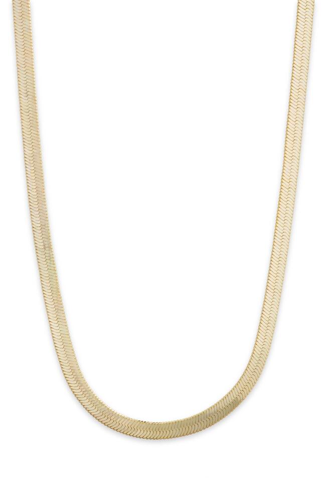 Melinda Maria Herringbone Chain Necklace in Gold Cover