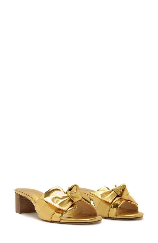 Alexandre Birman Maxi Clarita Bow Strap Block Heel Slide Sandal in Golden Cover