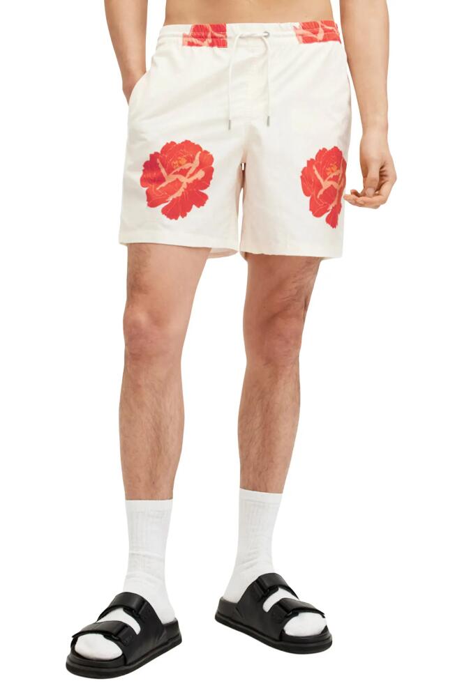 AllSaints Roze Swim Trunks in Ecru White Cover