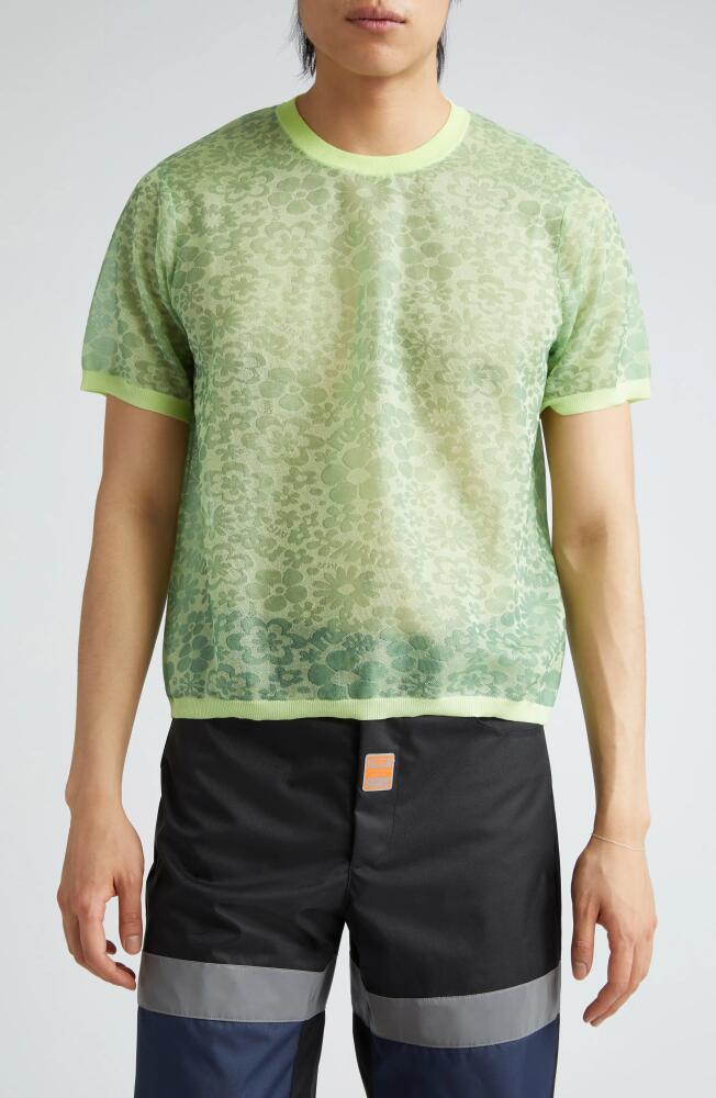 Martine Rose Granny Flower Jacquard T-Shirt in Lime Floral Cover