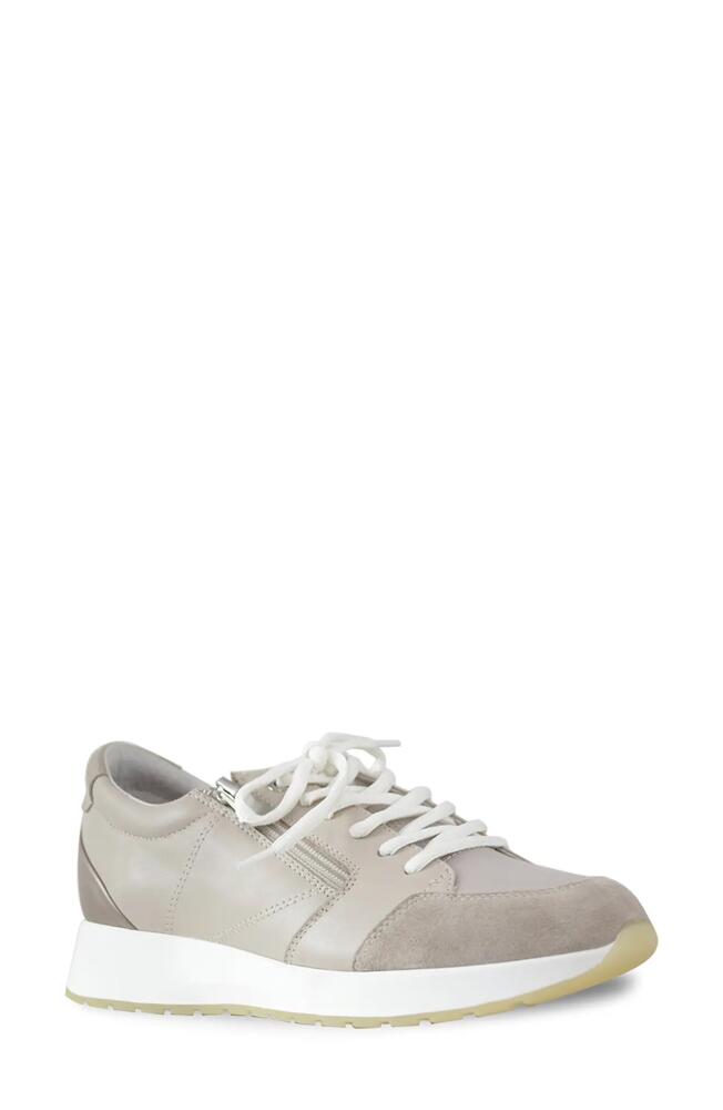 Munro Sutton Sneaker in Natural Cover