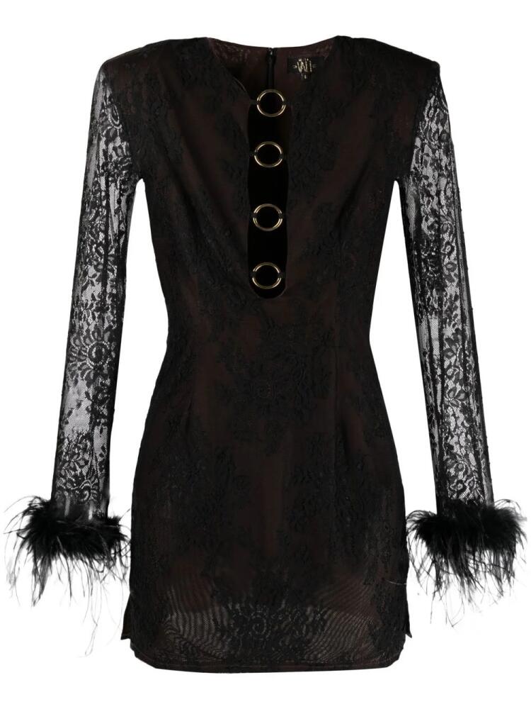 De La Vali feather-embellished lace minidress - Black Cover