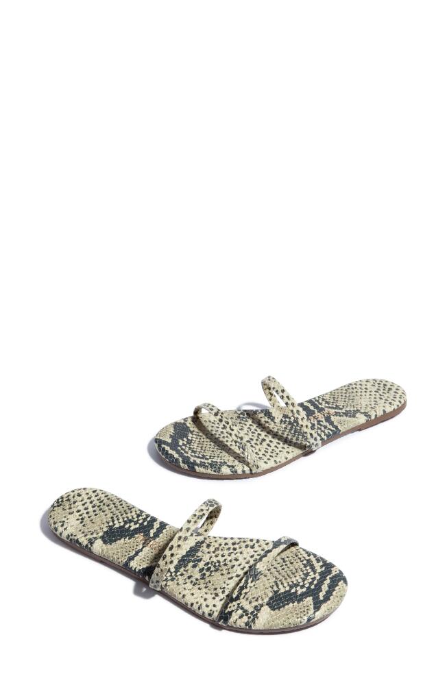 TKEES Gemma Snake Embossed Slide Sandal in Sandsnake Cover