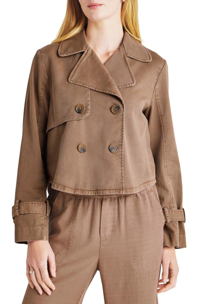 Splendid Portia Double Breasted Jacket in Macchiato Cover