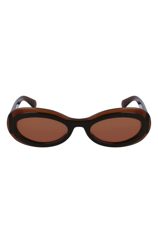 FERRAGAMO Classic Logo 54mm Oval Sunglasses in Transparent Brown Cover