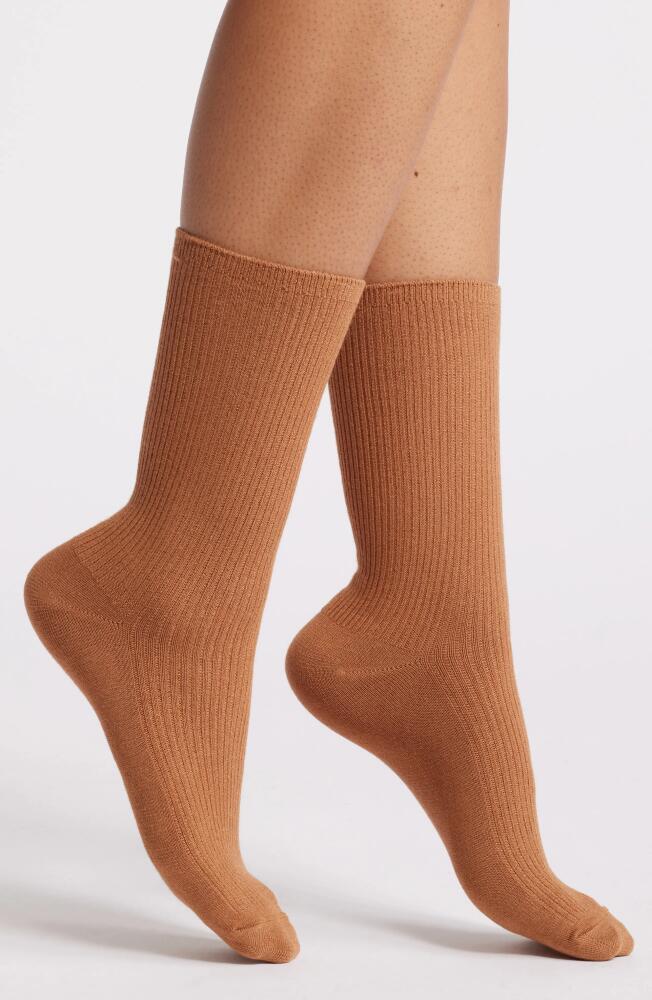 Nordstrom Rib Crew Socks in Tan Thrush Cover