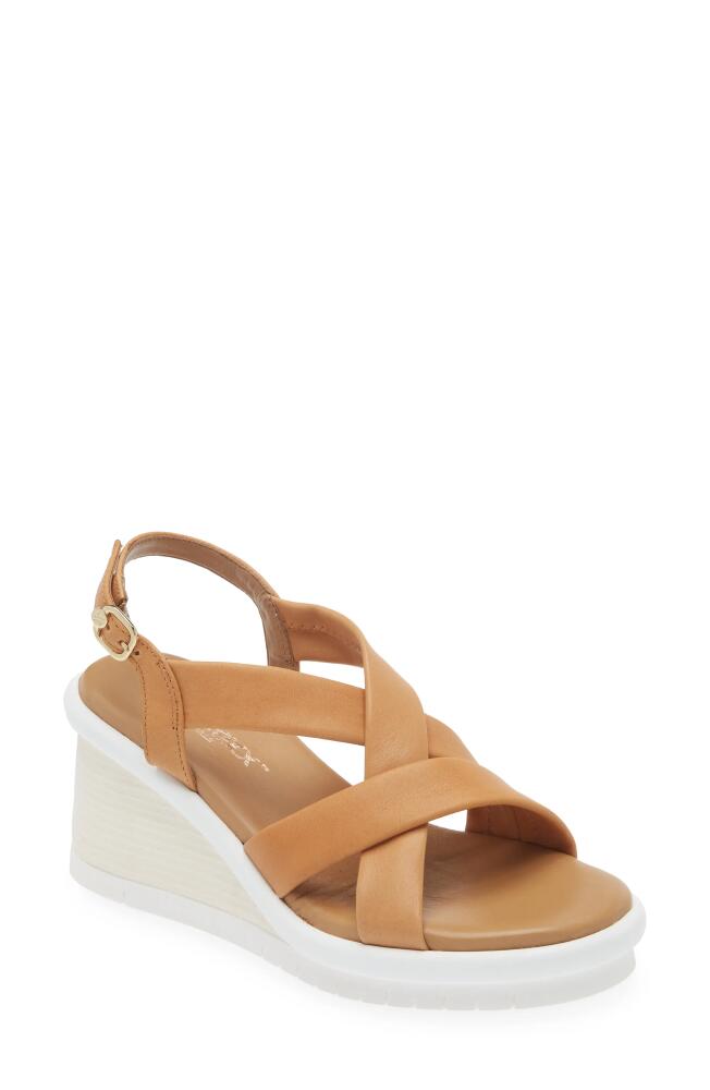 The FLEXX Masha Slingback Wedge Sandal in Lion Cover