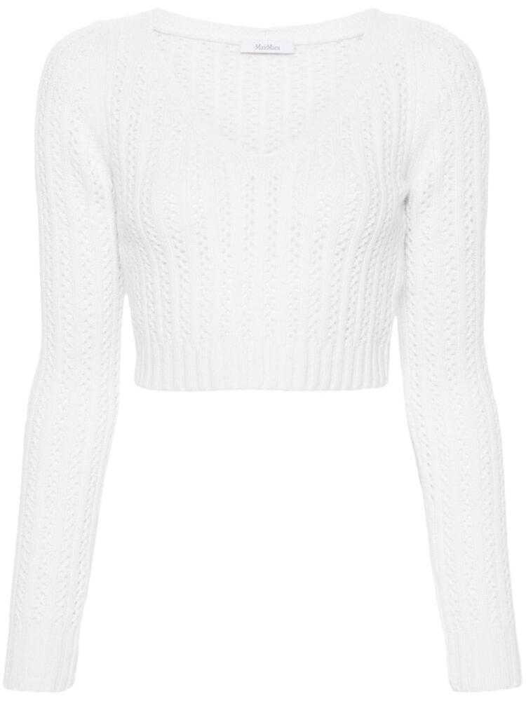 Max Mara Ifrem sweater - Neutrals Cover