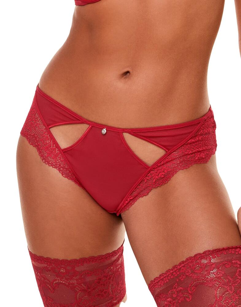 Adore Me Sylvia Cheeky Panties in Dark Red Cover