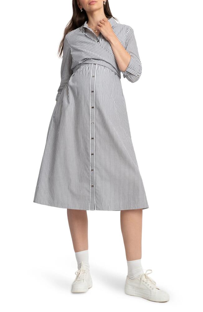 Seraphine Stripe Long Sleeve Maternity/Nursing Midi Shirtdress in Navy Cover