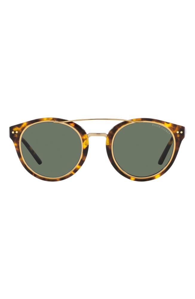 Ralph Lauren 49mm Round Sunglasses in Havana/Green Cover