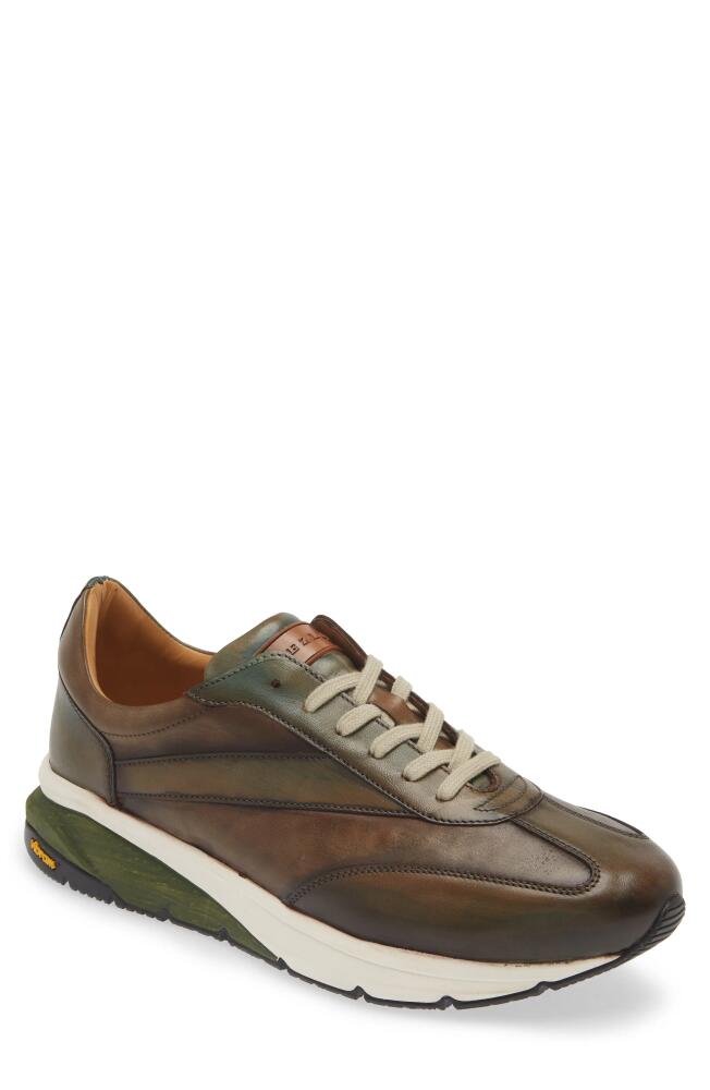 Mezlan Magico Sneaker in Forest/Olive Cover