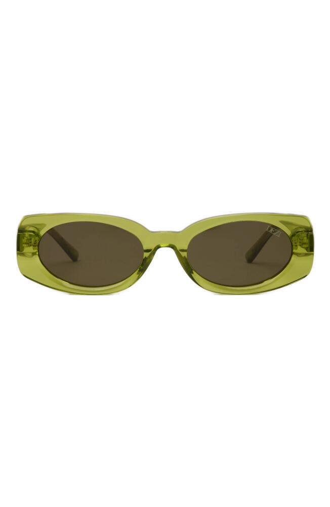 DEZI Booked 52mm Rectangular Sunglasses in Kiwi /Palm Cover