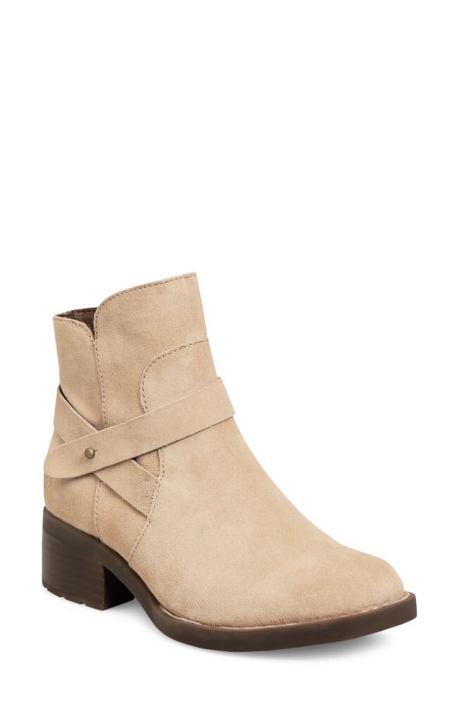 Børn Tori Leather Bootie in Taupe Suede Cover