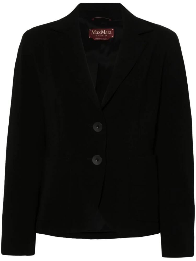 Max Mara Ginseng single-breasted blazer - Black Cover