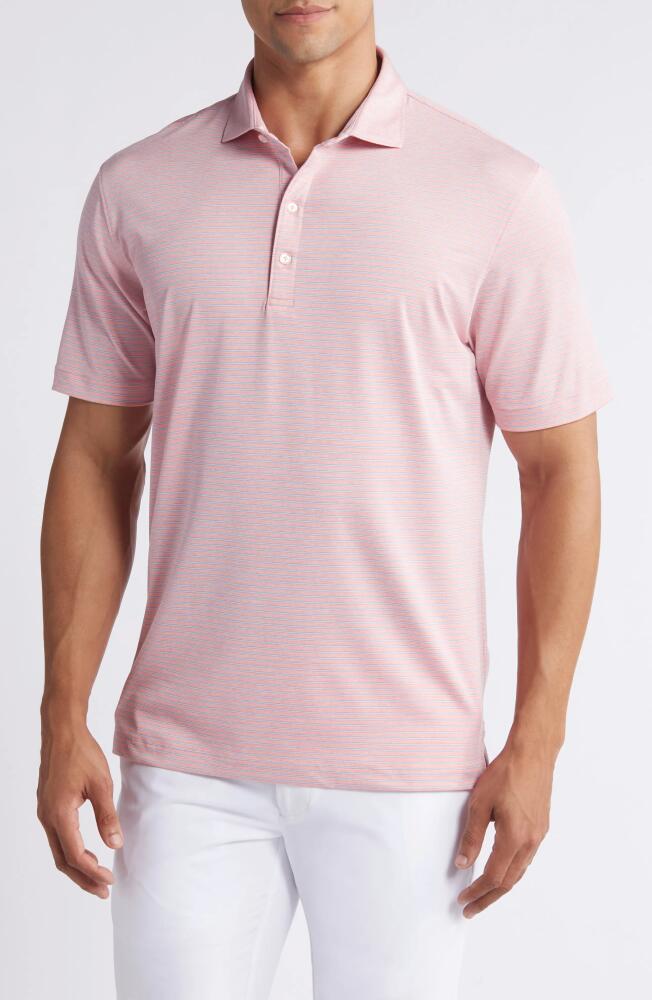 johnnie-O Michael Stripe Performance Golf Polo in Paloma Cover