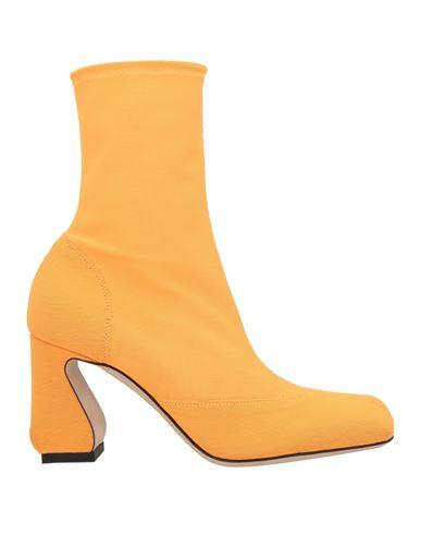 Sergio Rossi Woman Ankle boots Orange Textile fibers Cover