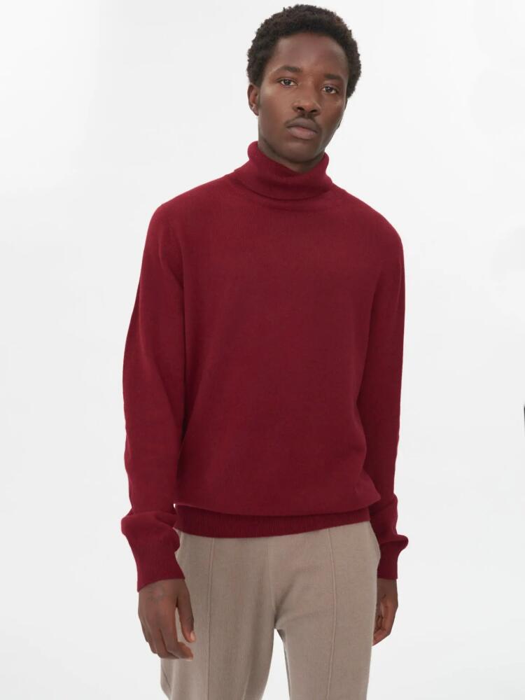 Gobi Cashmere Turtle Neck in Bordeaux Cover