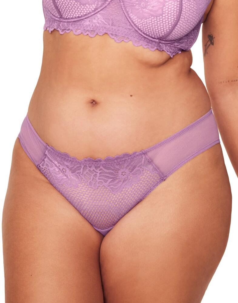 Adore Me Marella Bikini Panties in Dark Purple Cover