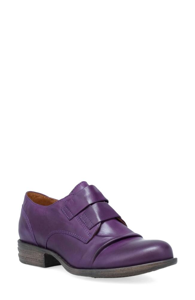 Miz Mooz Liam Oxford in Purple Cover