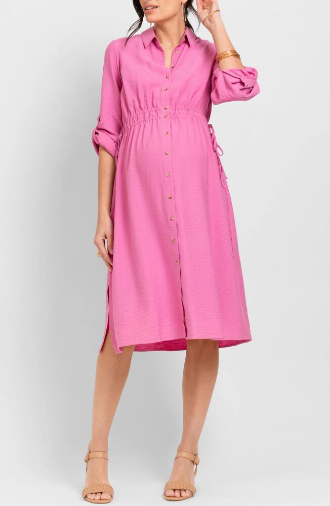 Seraphine Long Sleeve Maternity Shirtdress in Pink Cover