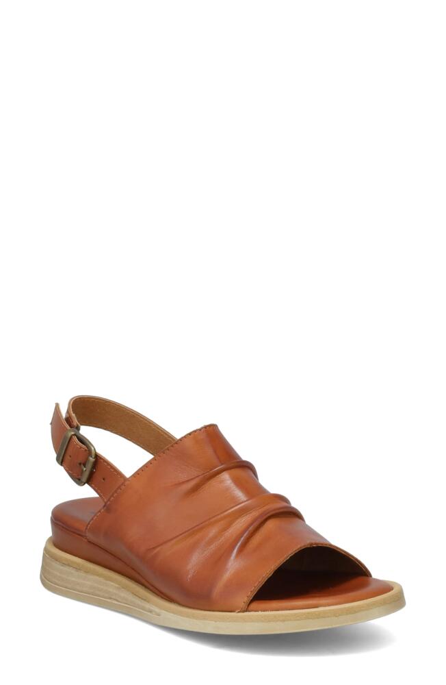 Miz Mooz Cornwall Sandal in Brandy Cover