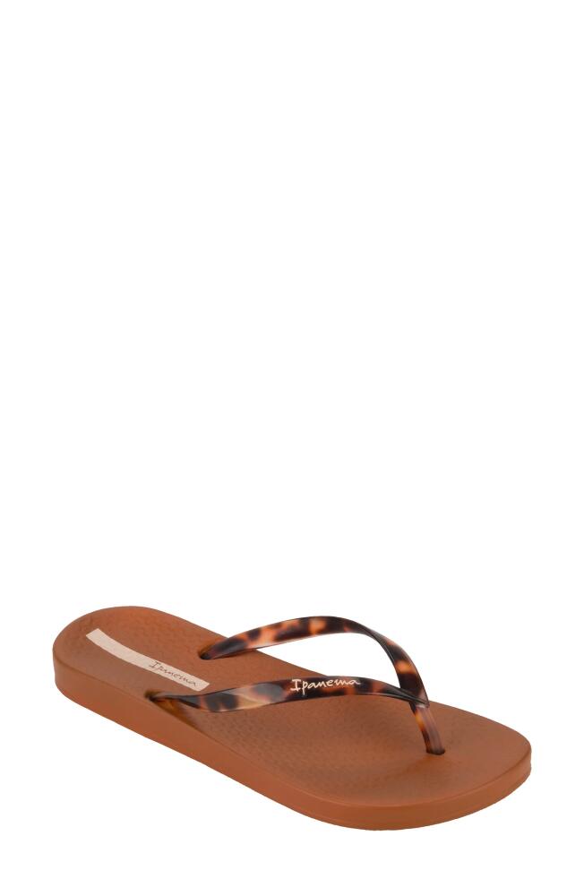 Ipanema Ana Flip Flop in Brown/Clear Cover