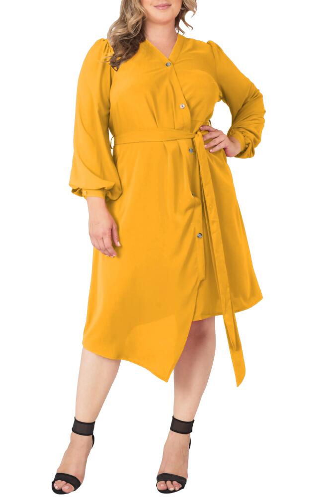 Standards & Practices Asymmetrical Long Sleeve Shirtdress in Ginger Cover